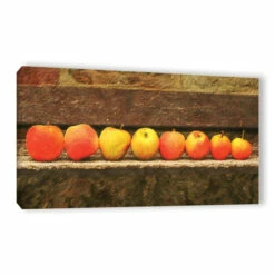 Promo 🔥 Copper Grove Scott Medwetz's 'Apple Line Up' Gallery Wrapped Canvas Wall Art ⭐