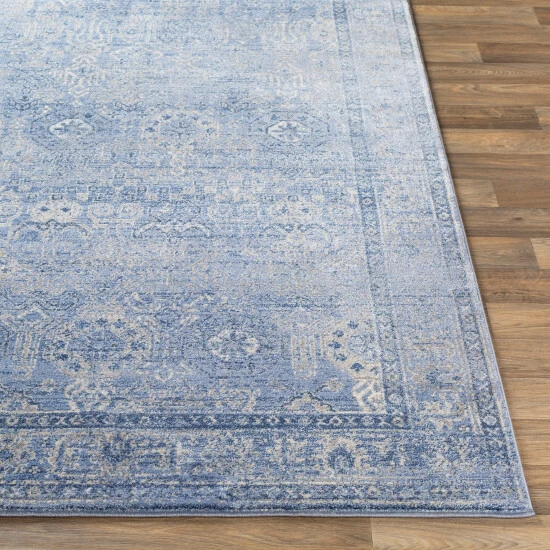 Best deal βοΈ Copper Grove Wageningen Distressed Medallion Pattern Area Rug Navy π - Image 8