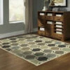 Best reviews of 😍 Copper Grove Sextant Transitional Circles Area Rug 🤩