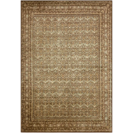 Buy π Copper Grove Echium Area Rug - 7'9" X 11'2" π - Image 2